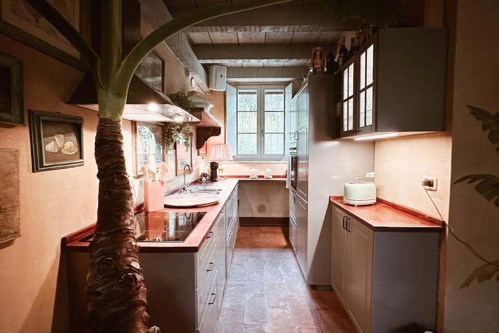 Appartamento Con Giardino Privato E Sauna *